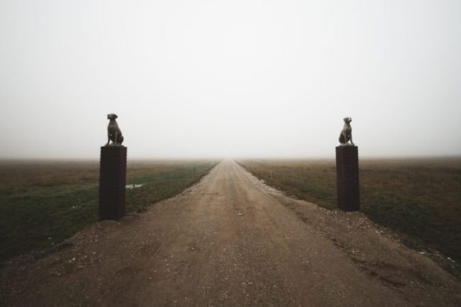 Gyvūnų kremavimas: viskas, ką reikia žinoti